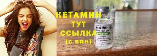 сатива Бронницы