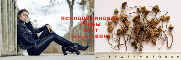 сатива Бронницы