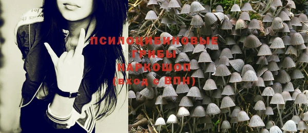 сатива Бронницы