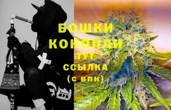 сатива Бронницы