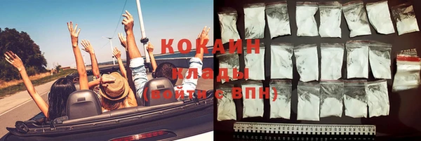 сатива Бронницы